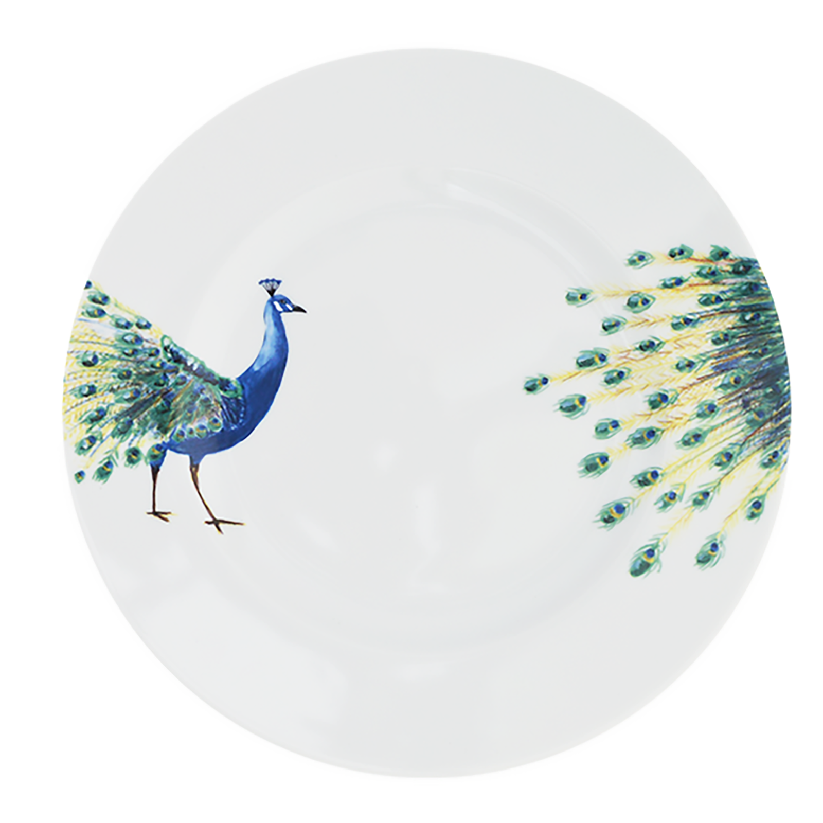 Set of 2 Birds of Paradise Dinner Plates